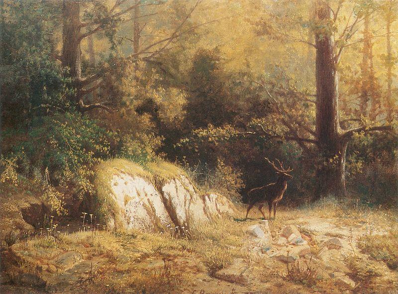 unknow artist Forest landscape with a deer oil painting image